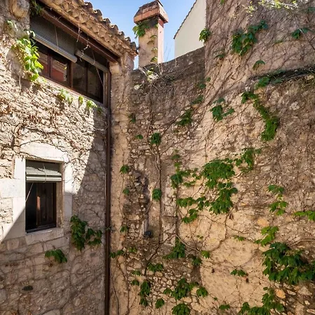 Experience Call Jueu . Cundaro