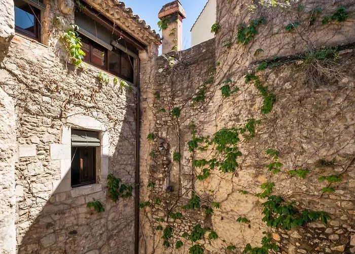 Experience Call Jueu . Cundaro